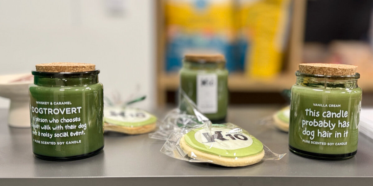 KAÏSAKI Apothecary x K10 Dog Training