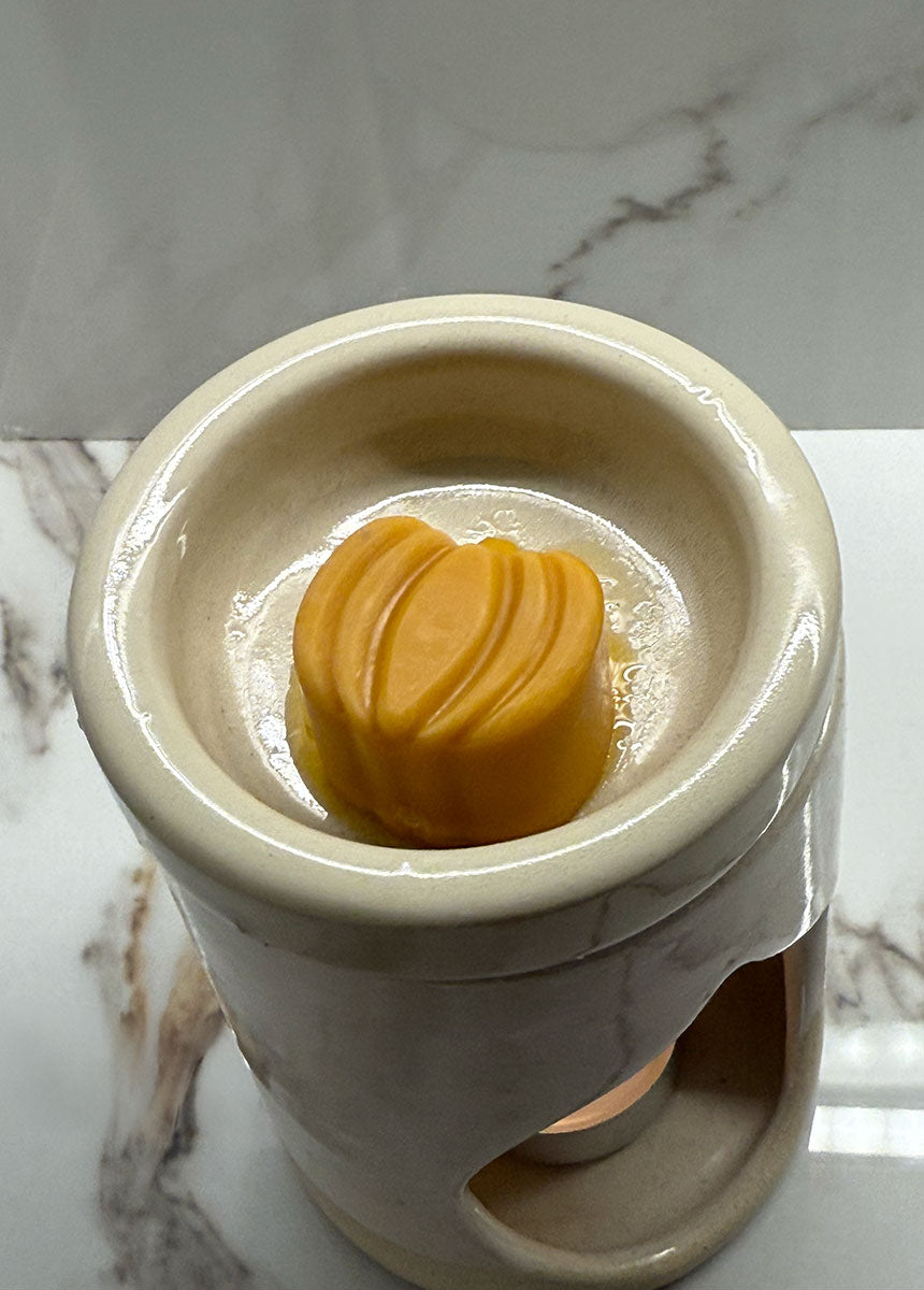 Κεραμικός καυστήρας – Dreamy White  + Wax Melt