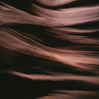 DARK OUD | Wood. Musk. Amber.